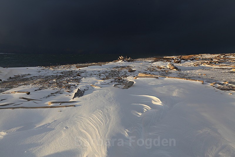 Winter 27 - Latest Photos