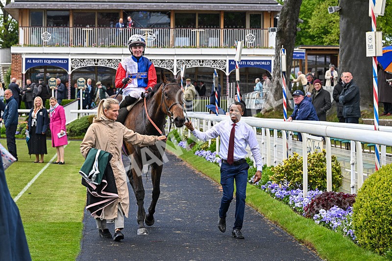 140526-Race 3-Maybe Not-5015 - Race 3 2.55pm Oakmere Homes Hambleton Handicap