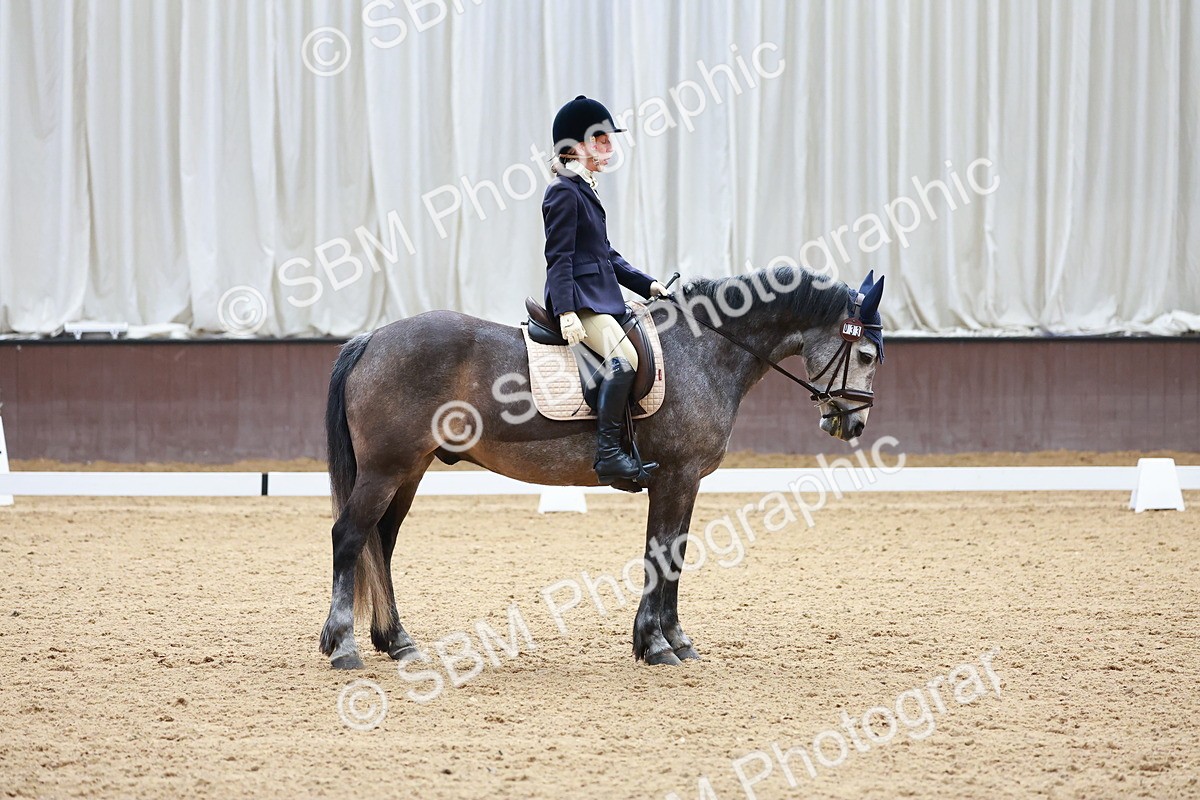 SBM_000385 - Class 3 - Prelim 1