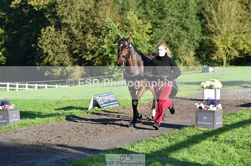 231022-092826-21812 - 685-ADRENALIN.II-Cosima.Atkinson-TrotUp+SJ