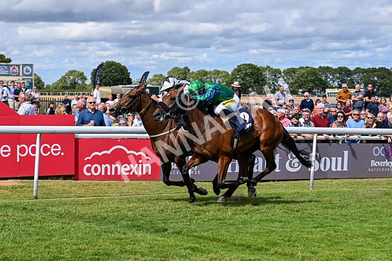040726-Race 3-Emerald Bay-3919 - Race 3 15.24pm George Kilburn Memorial Nursery Handicap