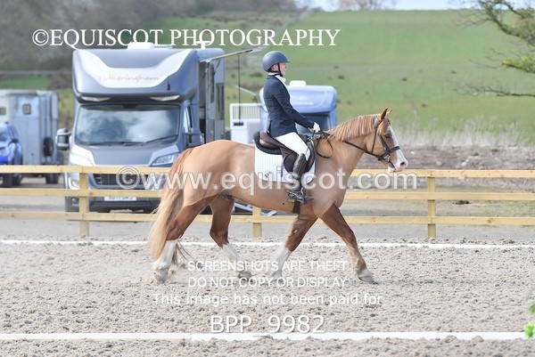 BPP_9982 - MY QUEST NOVICE 2