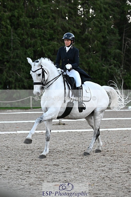 231110-162903-02636 - Cls 14 FEI Grand Prix