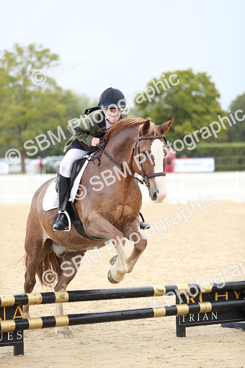 SBM_37190 - J20 - Junior Horse 50cm Championship