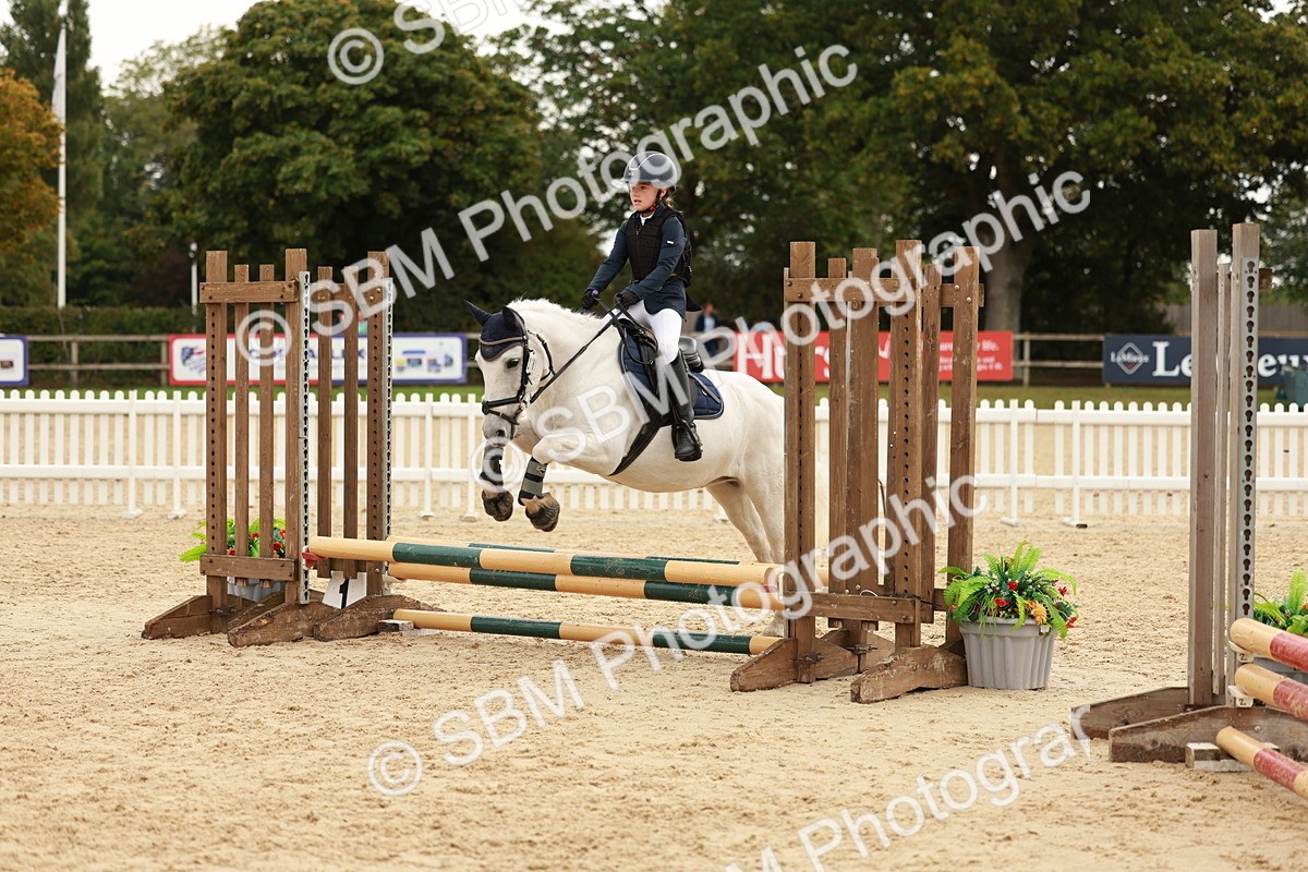 SBM_58038 - J11 - Junior Pony 50cm Championship