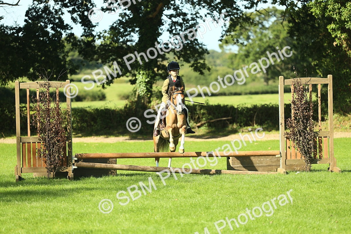 SBM_37421 - S29 - Novice & Newcomers Working Hunter Pony
