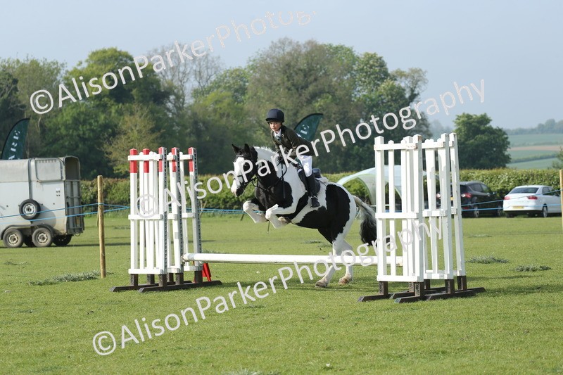 20260426-0026 - Class 13 - Rookie Jumping 50cm