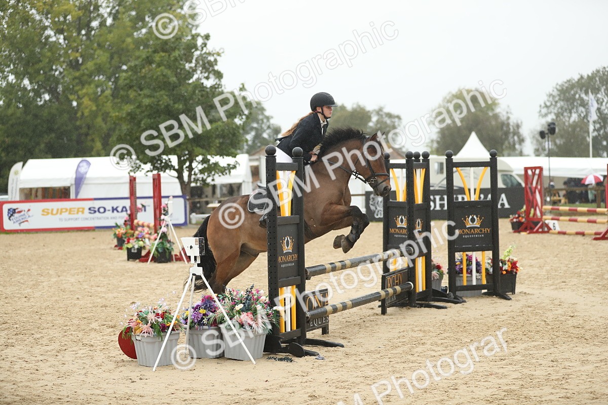 SBM_74075 - J16 - Junior Pony 75cm Championship