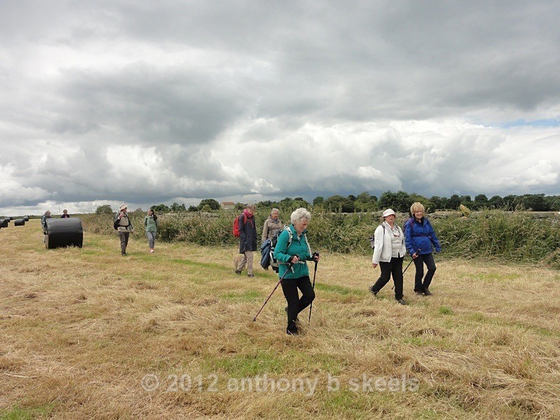 066 Still dry but a big grey sky over the hay field - York Minster Walkers Collection 2024
