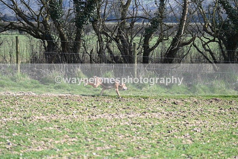 WJ7_5709 - Camera A