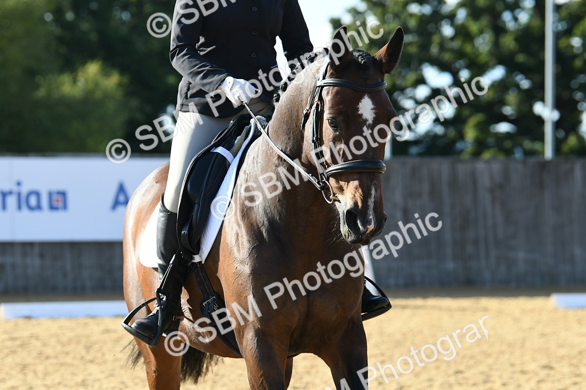 SBM_28426 - D16 - Small Tour Championship - Novice 28