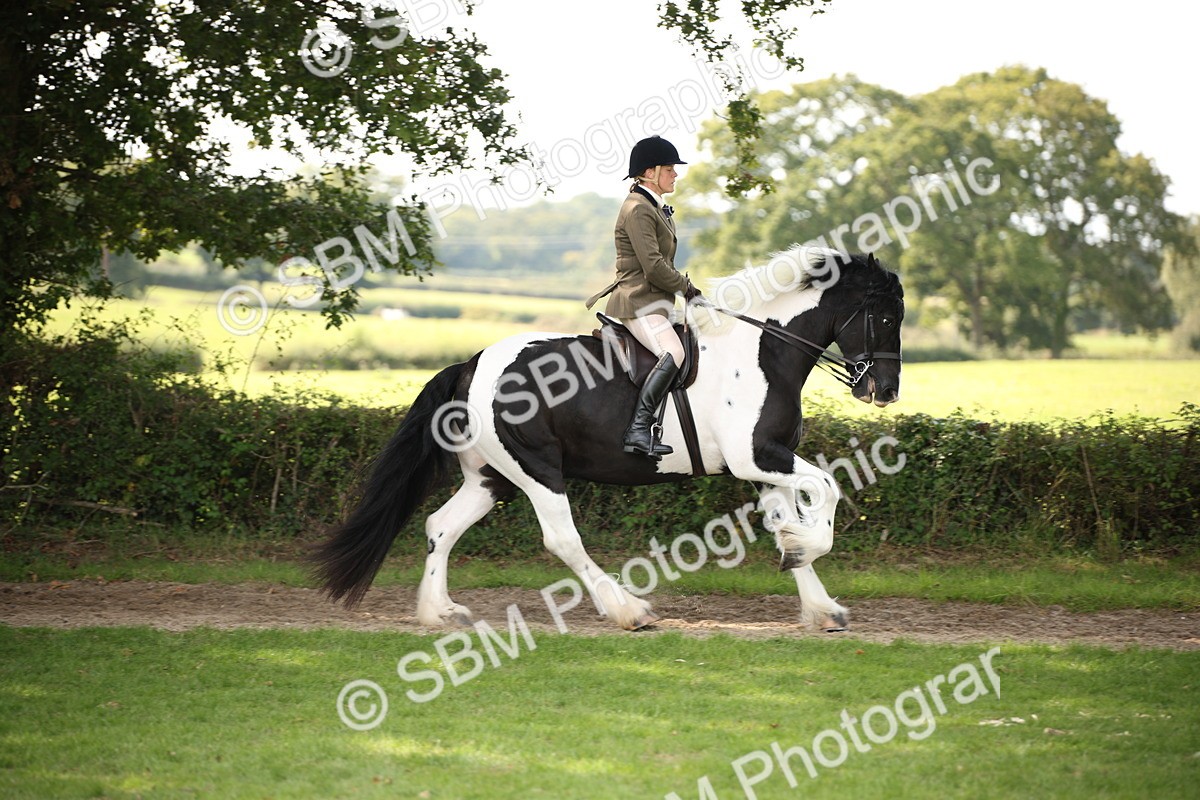 SBM_70087 - S65 - Piebald & Skewbald Horse Ridden