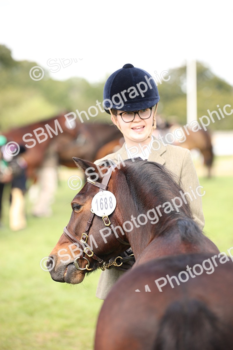 SBM_44482 - S24 - Young Veteran in hand