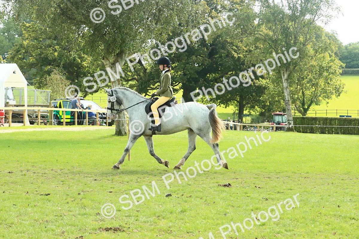 SBM_67532 - S56 - Coloured Pony Ridden