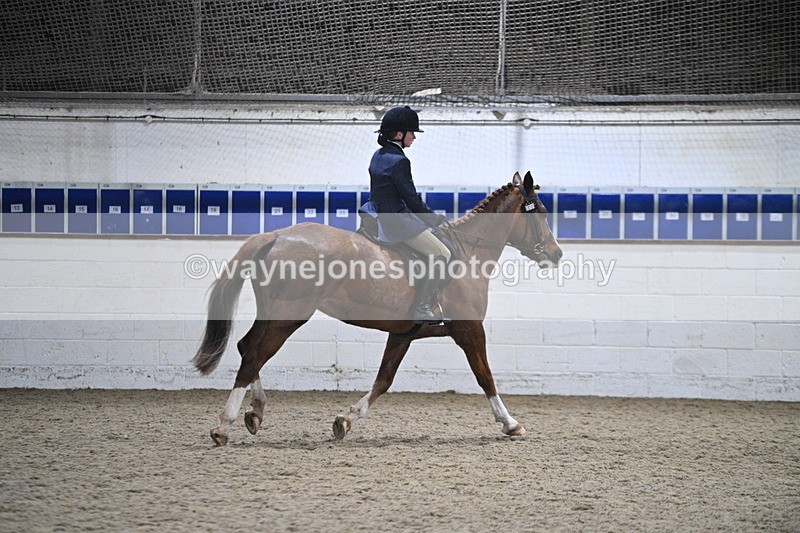 WJ7_4121 - Class 17 Ridden Cob