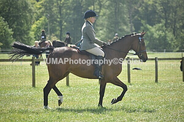DSC_9229 - Rings 1 & 2