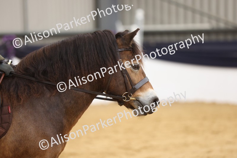 20260913-0643 - Class 126 - Novice Ridden