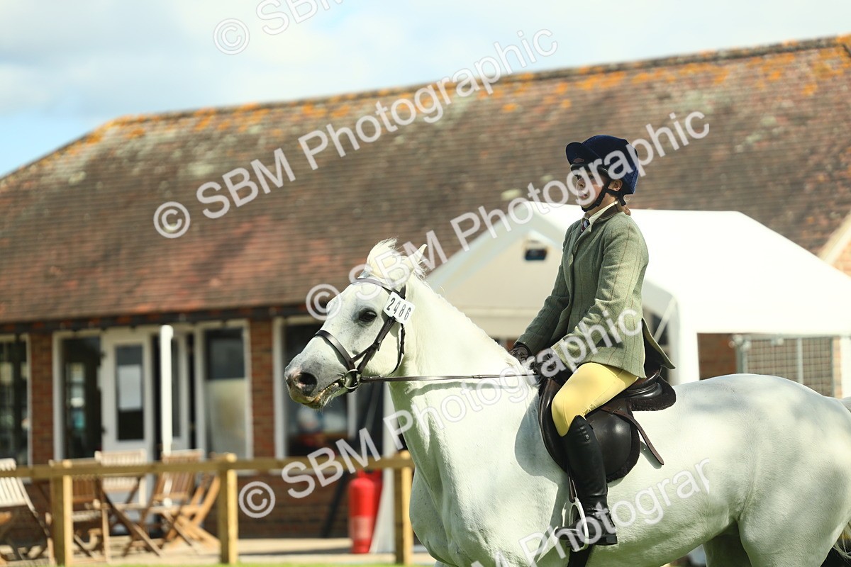 SBM_44551 - S30 - M&M Working hunter Pony