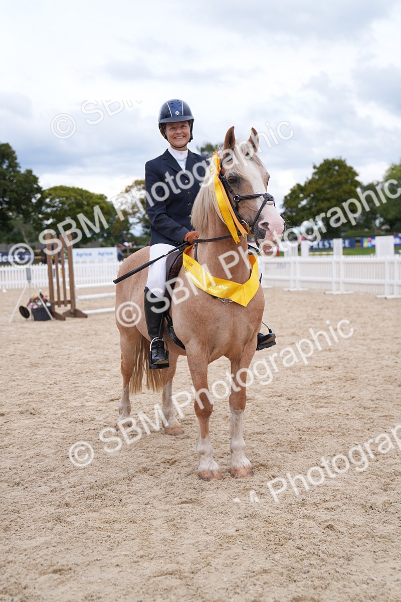 SBM_09331 - J36 Veteran 70cm Championship