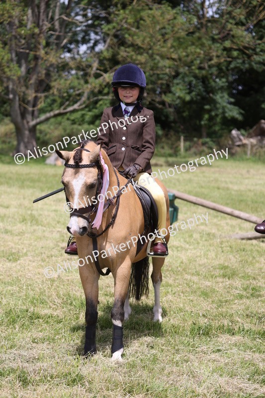 20260614-2154 - Class 21 - Novice Working Hunter Pony