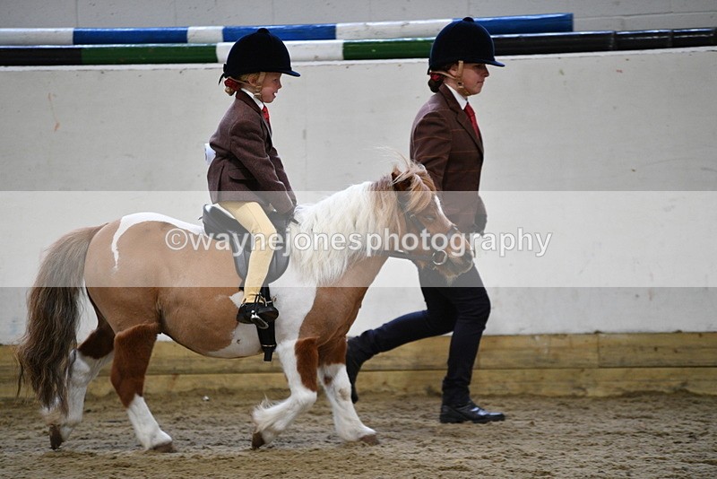 WJ5_6534 - Class 10 Childs Pony