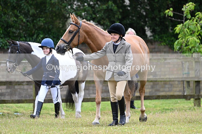 WJ7_6463 - Class 5 Handsome Gelding in hand