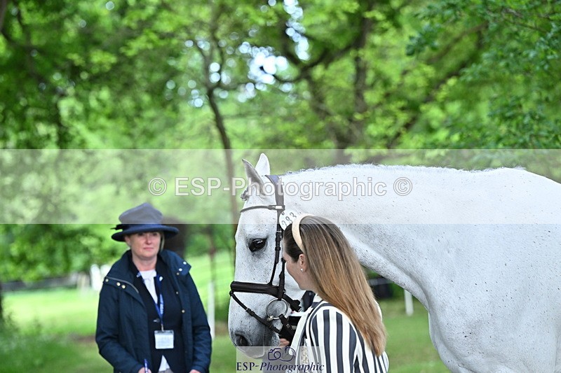 250521A-170322-01495 - C-283-Laura.Collett-COOLEY.ICEAGE