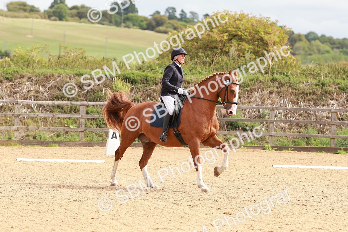 SBM_001343 - Prelim 2