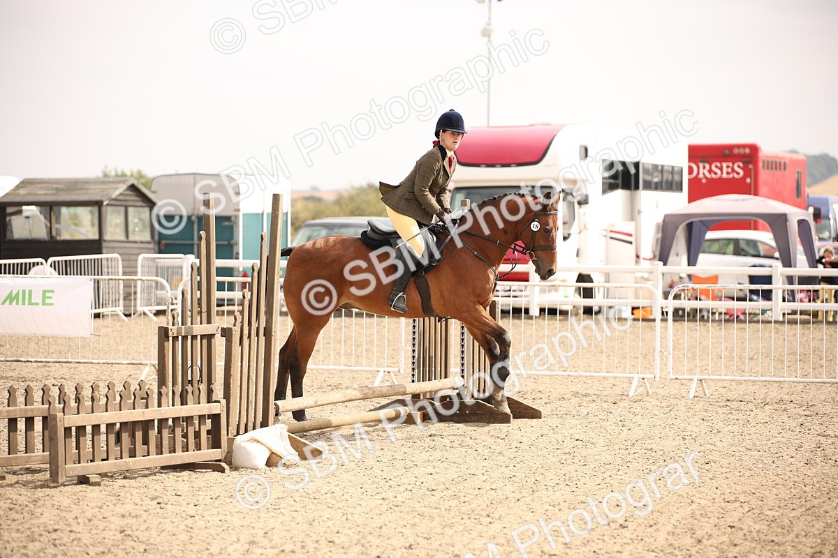 SBM_12902 - Class 406a - Working Veteran 50cm (15-19)