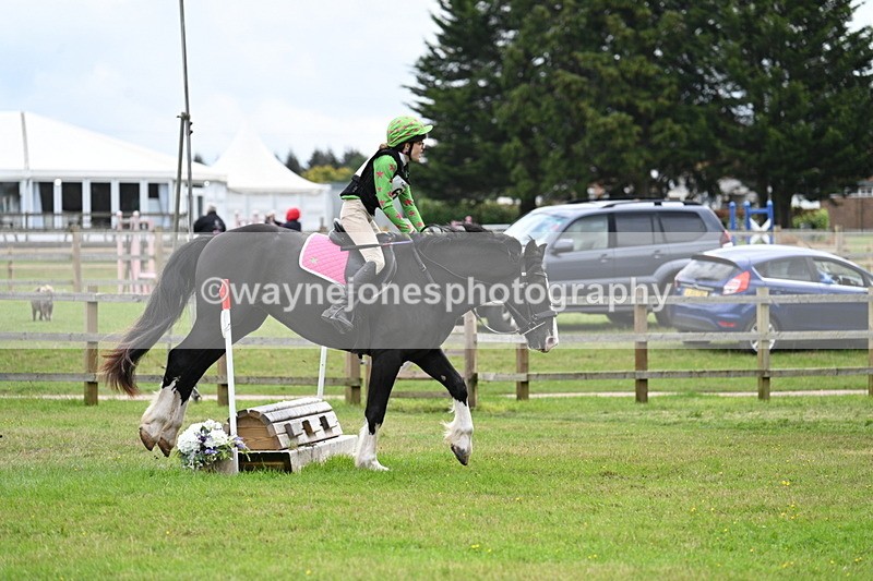 WJ7_8945 - 60cm Time 12:31 to 12:50