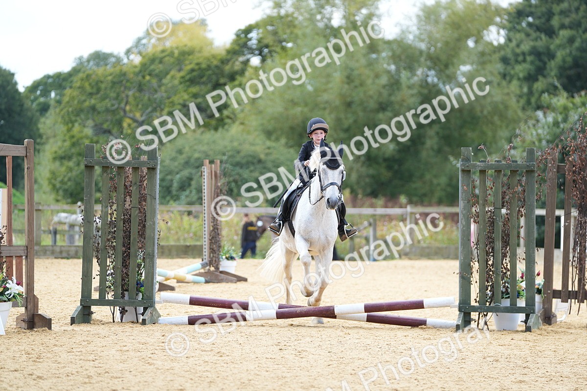 SBM_64501 - J2 - Mini Tour Junior Pony 30cm Championship