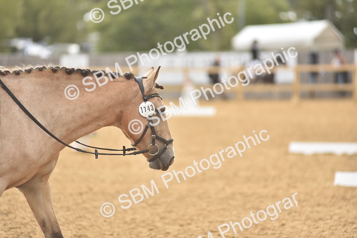 SBM_42388 - D22 - Junior Championship Intro 3