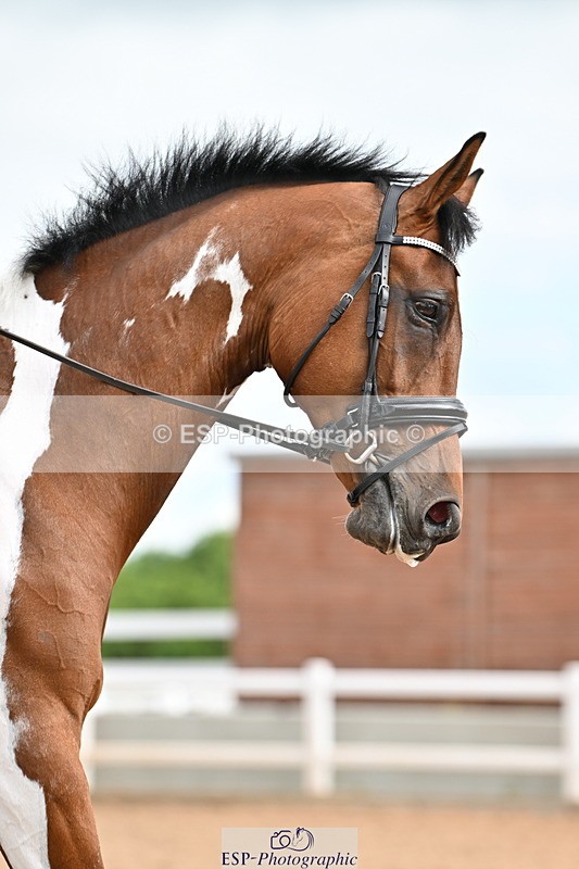 240622A-090839-07332 - Cls 2A+2B+C Intro B RoR