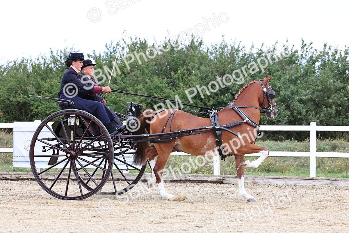 SBM_000413 - Class 4 - Junior Whip
