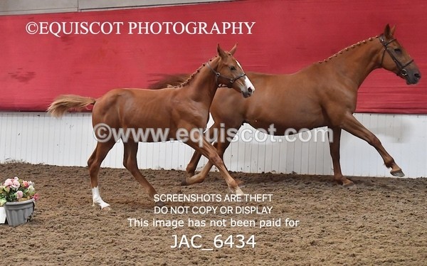 JAC_6434 - 19 Luca