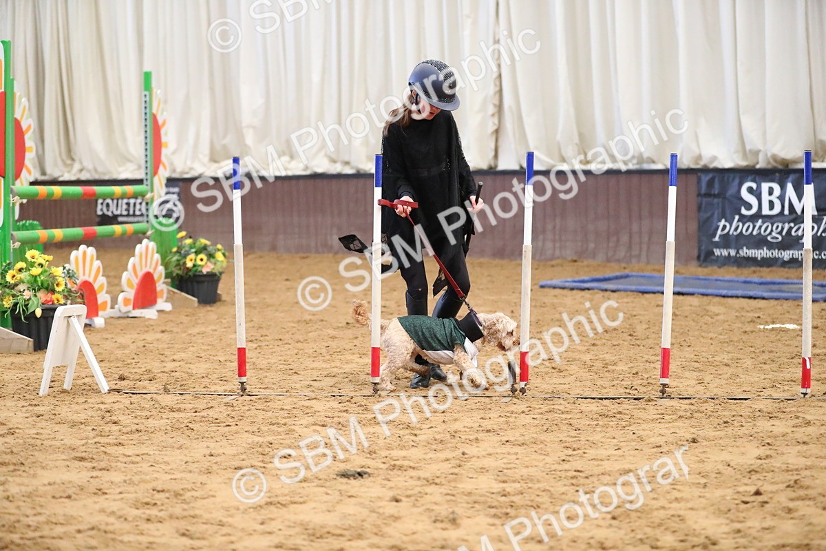 SBM_001048 - Class 3 - Horse & Hound