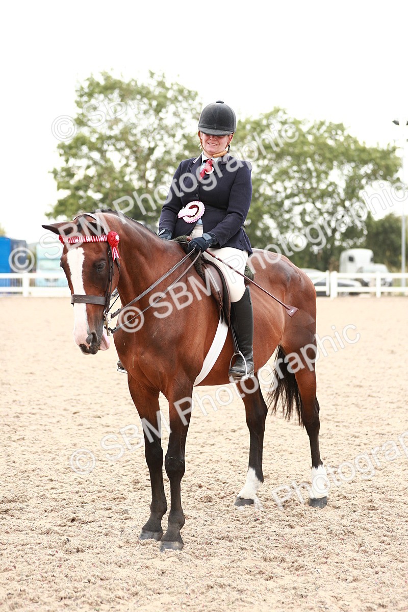 SBM_17638 - Class 215 Ridden Hack/ Riding Horse