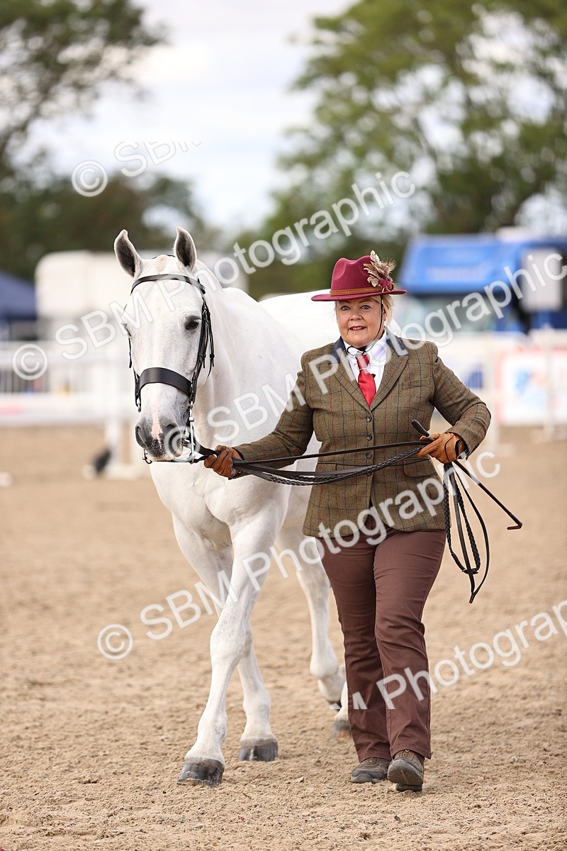 SBM_10376 - Class 405 - IH Show Cob