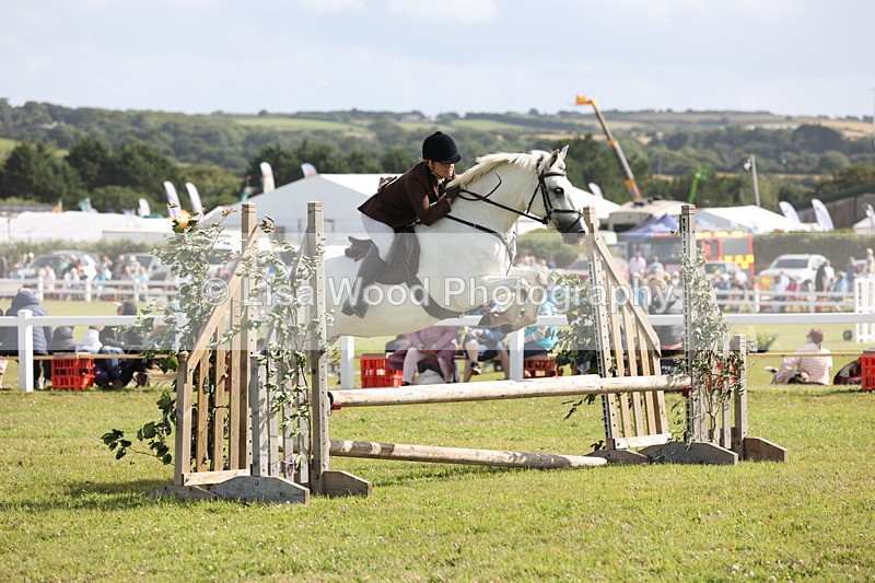 JPP_2571 - Class 20: Working Hunter 70cm