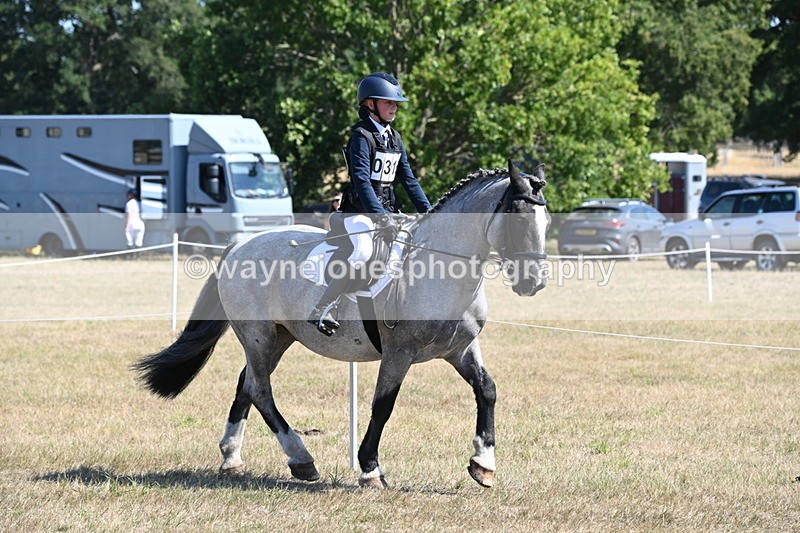 WJ6_8288 - Class 37a Best Loan Pony Ridden