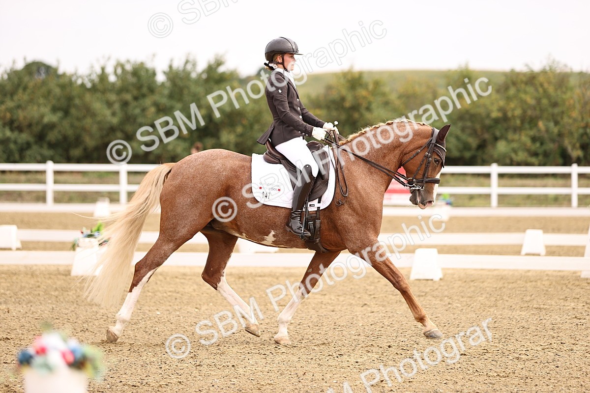 SBM_011540 - Class 1 - Medium 5