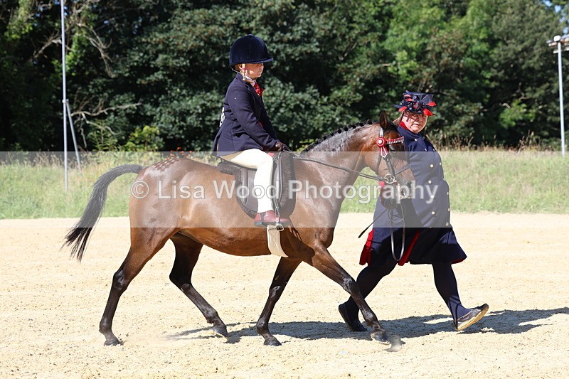 3E7A8076 - Class 15: Lead Rein