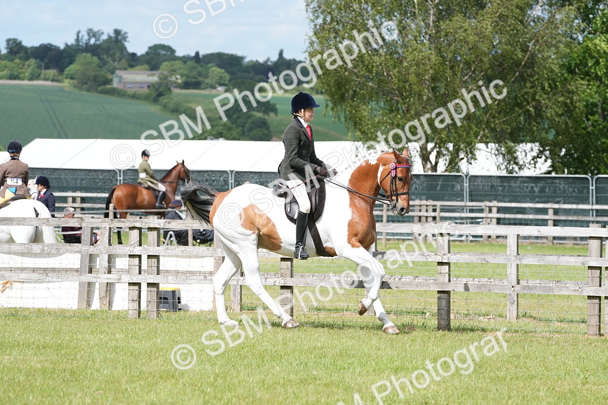 SBM_17573 - Class 107-108 - LIHS BSPS Performance Coloured Horse Pony