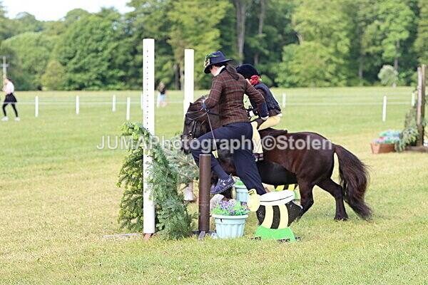IMG_2148 - Working Hunter