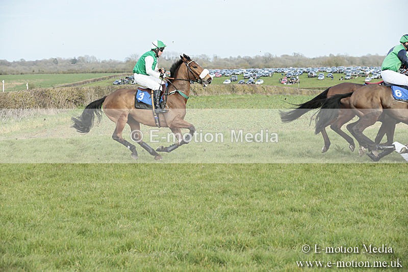 PtP 230319 443 - VWH Hunt Siddington Point-to-Point Racing 23/03/19