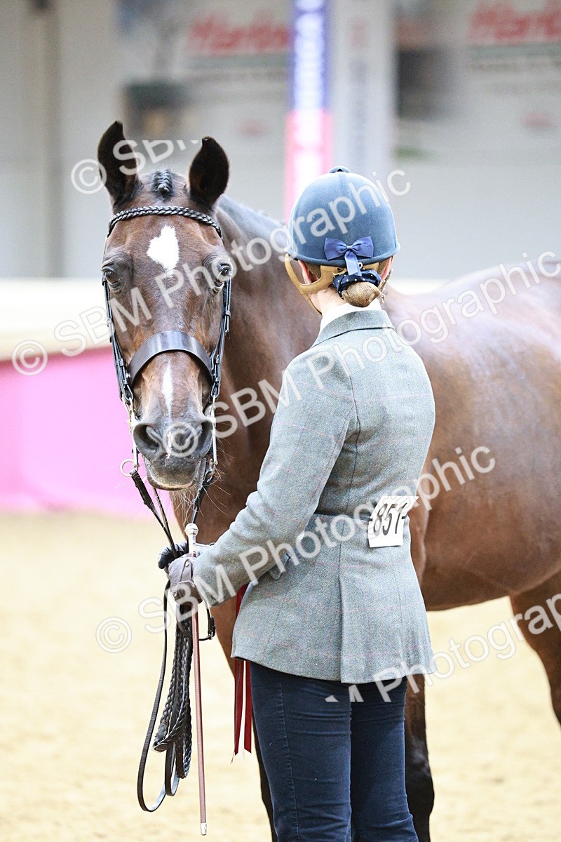 SBM_06638 - Regional - IH Champs