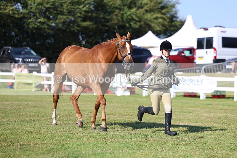 3E7A5688 - Class 2: Rising Star Large Hack/Riding Horse