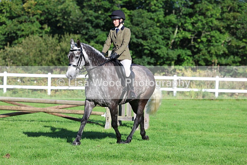 3E7A7623 - Class 1: Novice Working Hunter Pony