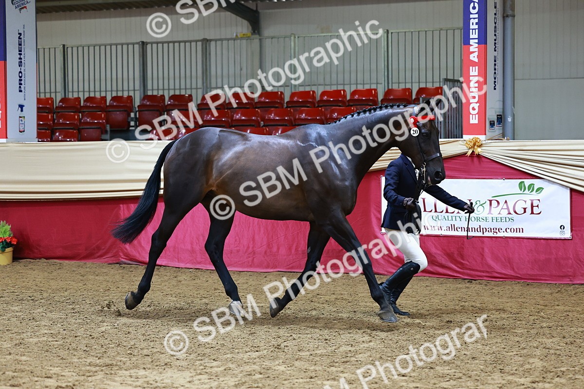 SBM_22107 - Class 902 - Supreme Final - IH Diamond