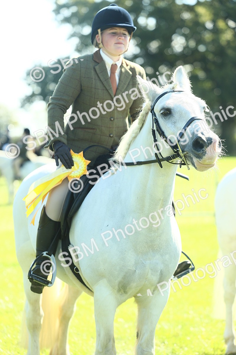 SBM_39086 - S29 - Novice & Newcomers Working Hunter Pony
